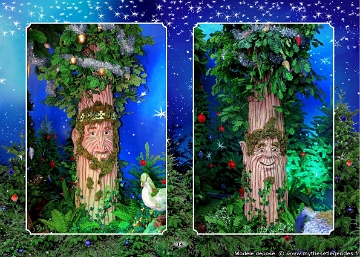(14) - Father Christmas Forest
